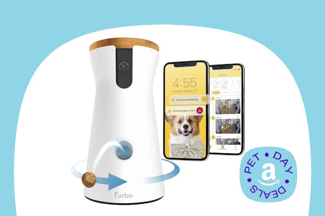 Furbo Dog Alert Smart Camera Drops to Lowest Price of $69 on Amazon card image