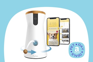 furbo camera