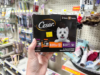 dollar general cesar dog food clearance