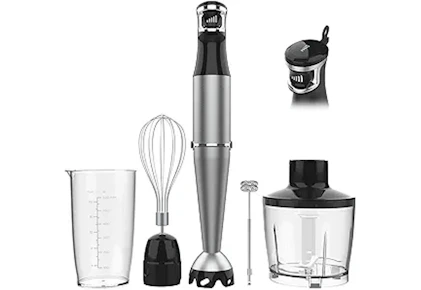 Immersion Blender