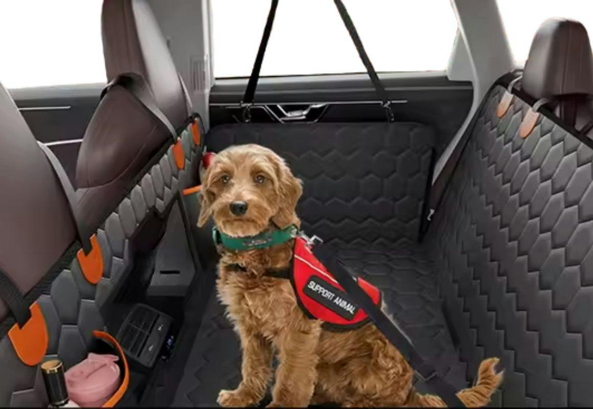 Dog Car Seat Cover