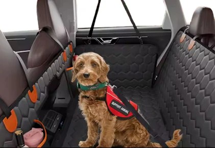 Dog Car Seat Cover