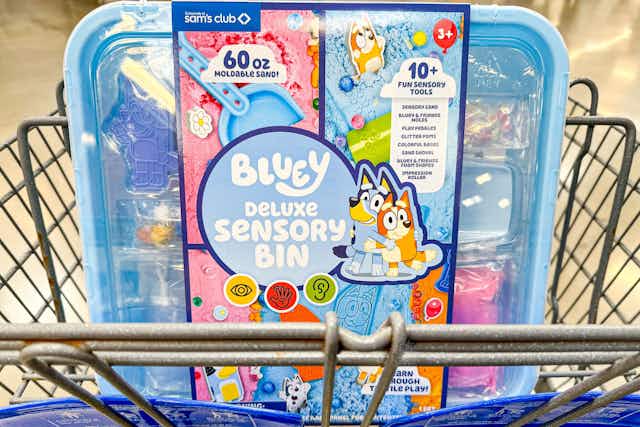 Sam's Club Exclusive Bluey Deluxe Sensory Bin, Just $19.98 card image