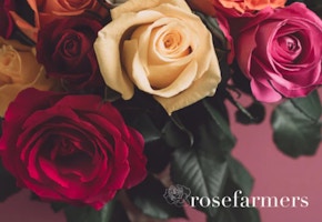 Rose Farmers Rose Bouquet