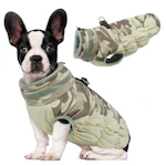 Dog Winter Coat