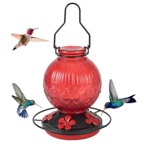 Hummingbird Feeder