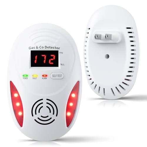 Carbon Monoxide and Gas Detector