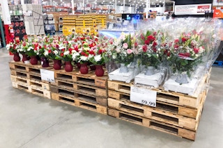 costco roses and flowers