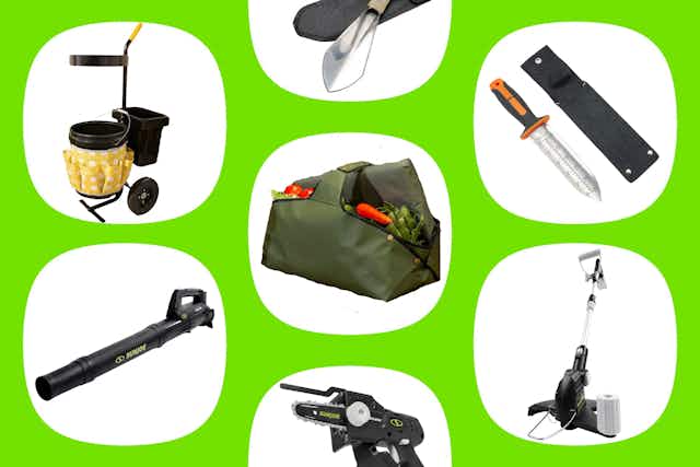QVC Garden Clearance Deals: $40 Blower, $34 Tool Caddy, $25 Tote, and More card image