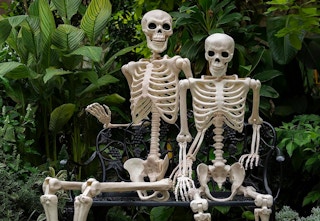 amazon skeletons 2023 1 1696341200 1696341201