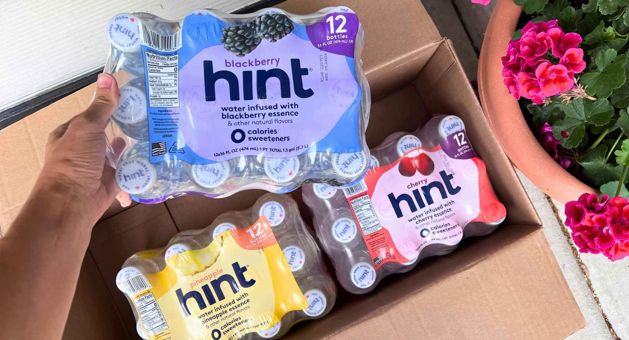 Hint Water Is $1 per Bottle Right Now With Free Shipping