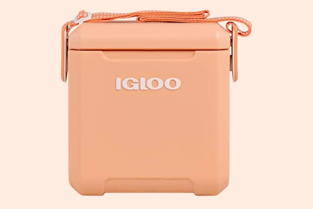 This Igloo Cooler Is Only $36 on Amazon card image