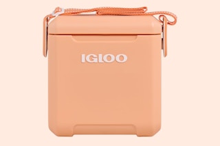 Igloo Strapped Cooler