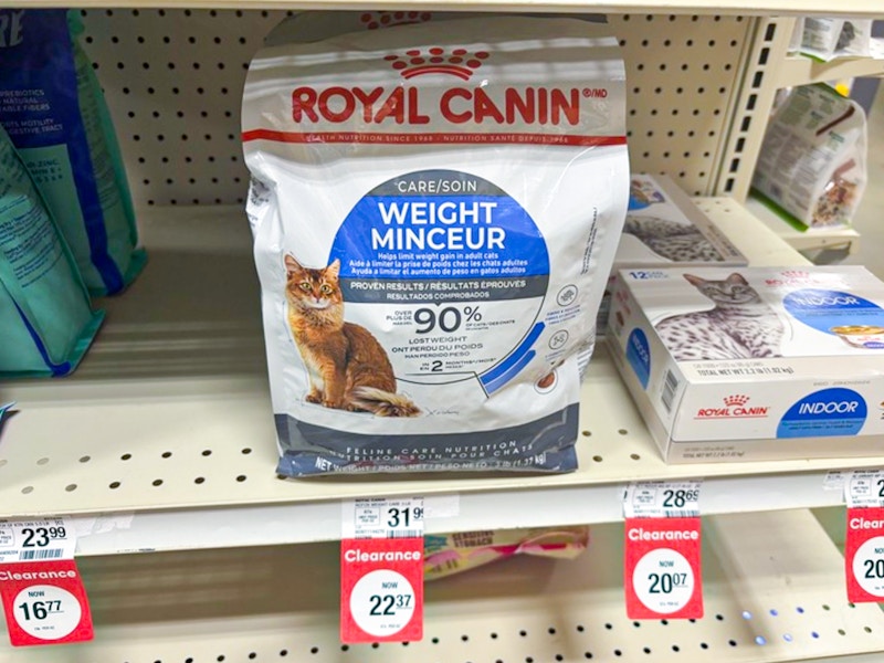 petsmart royal canin cat food