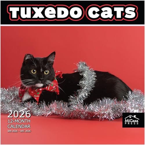 Tuxedo Cats 2026 Wall Calendar