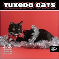 Tuxedo Cats 2026 Wall Calendar
