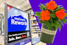 lowes free flower member gift