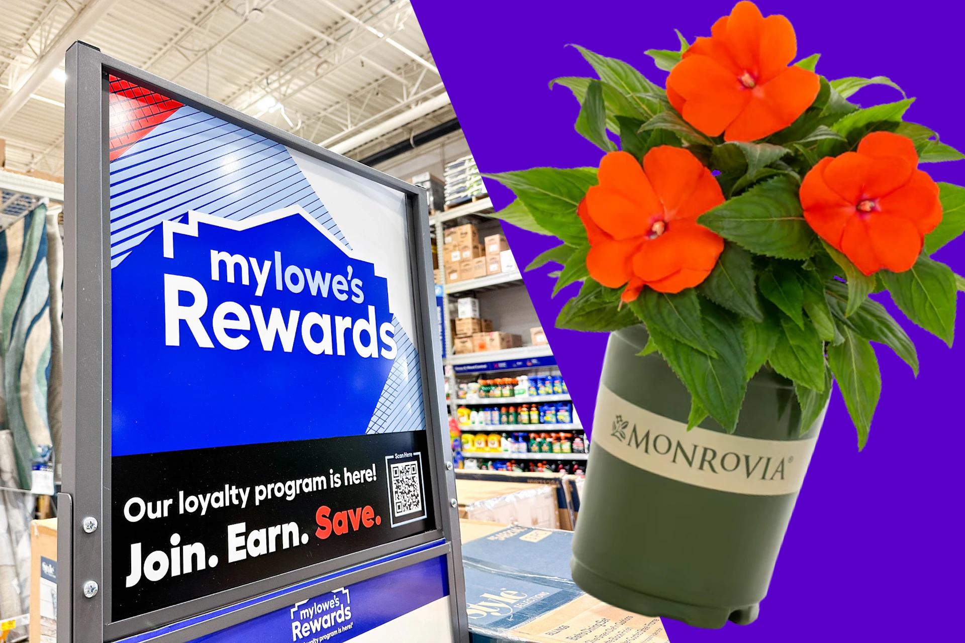 Free Lowe's Spring Flower Giveaway 2027 — What You Need to Know - The ...