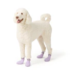 Dog Water Boots