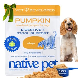 Native Pet Pumpkin for Dogs