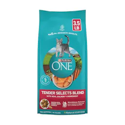 Purina ONE Dry Cat Food