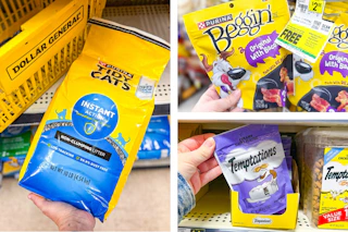 dollar general tidy cats, beggin, temptations 3-photo collage