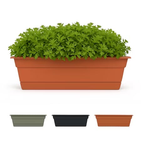 Window Box Planter