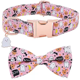 Dog Collar with Bow Tie