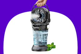 a hand holding a misting fan