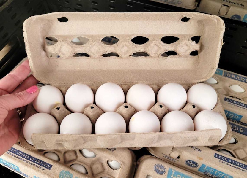 person holding a dozen large eggs in carton