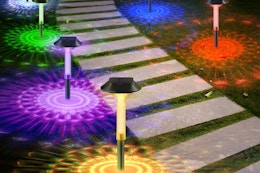B0DY79DKP2 solar pathway lights