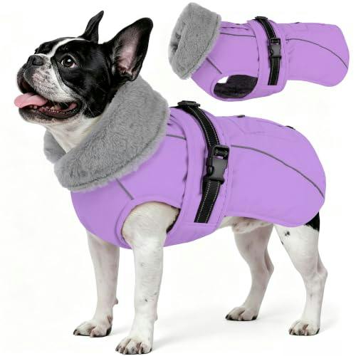 Dog Winter Coat