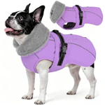 Dog Winter Coat