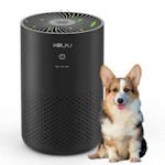 Air Purifier