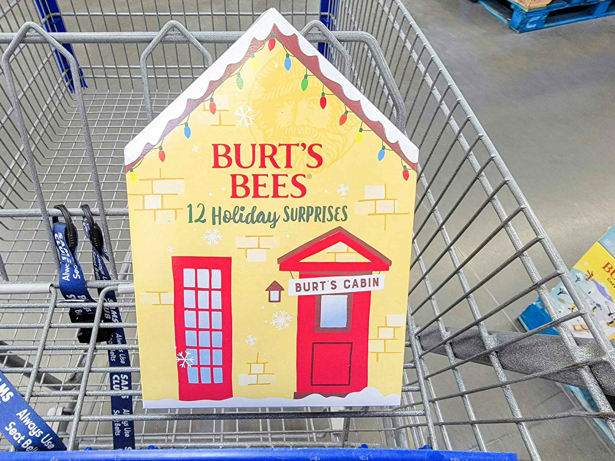 Burt's Bees Advent Calendar, Just 16.48 at Sam's Club The Krazy