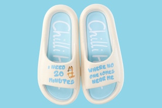 Stock image of Women's Bluey Sandals over blue background