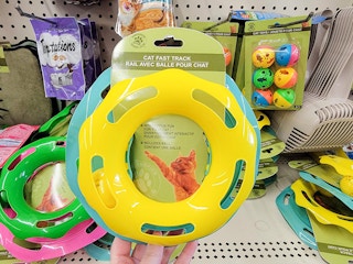cat toy