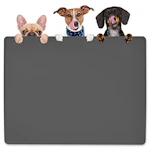 Dog Water Mat