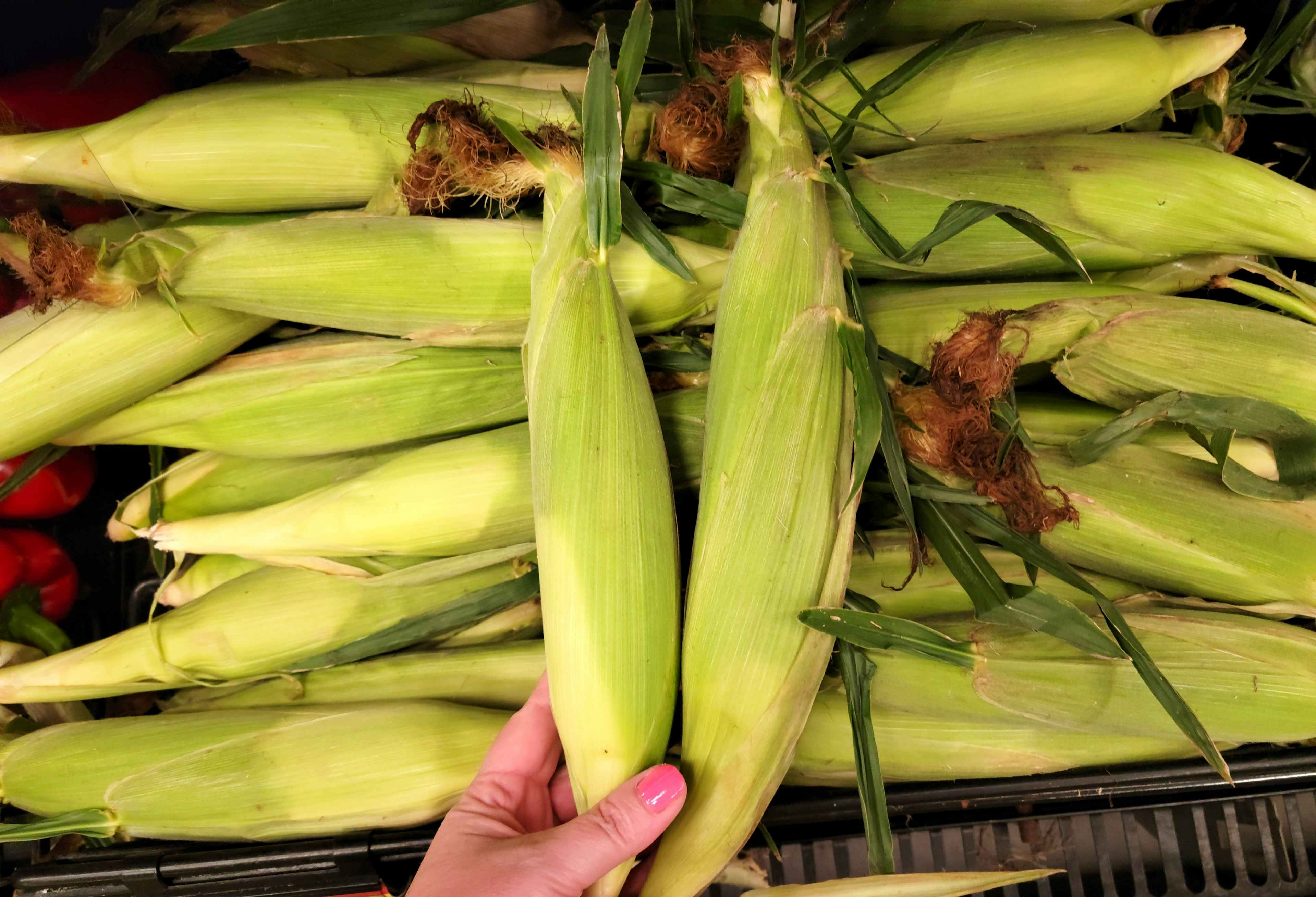 Kroger-fresh-corn-sv-1