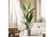 Artificial Bird of Paradise Tree