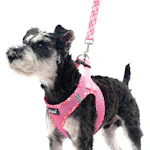 Small Dog Harness and Leash Set