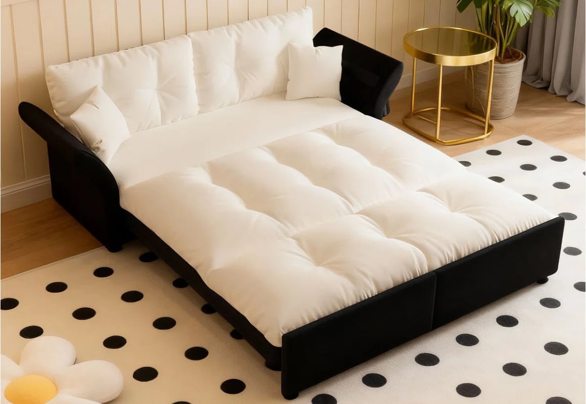 Latitude Run Pull-Out Sofa Bed