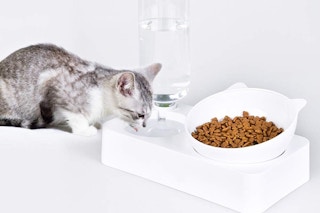 a cat drinking water out of a bowl with attached cat food bowl
