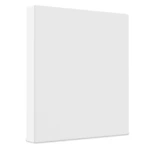 Staples 3-Ring View Binder