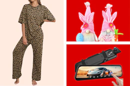 leopard lounge wear, Easter gnomes, dash cam