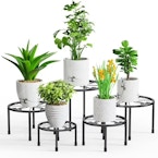 Metal Plant Stands