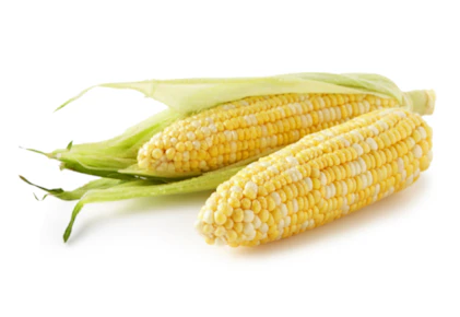 5 Sweet Corn Ears