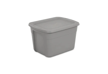 Brightroom Storage Tote