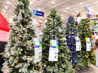 Christmas tree area at Home Depot