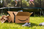 amazon-prime-day-26-10